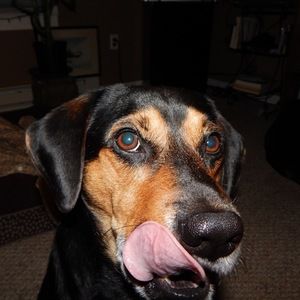 Meet your Posher, Jon